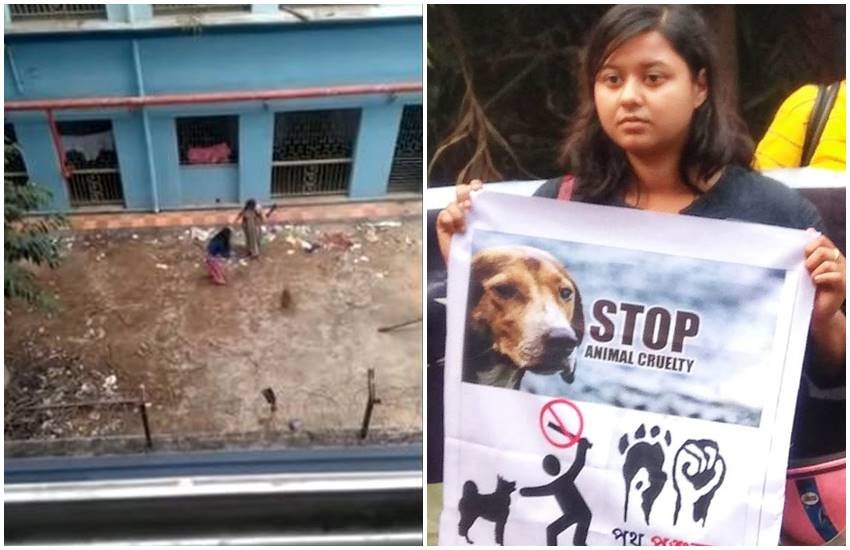 dog, kolkatta, girls hostel