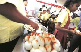 egg