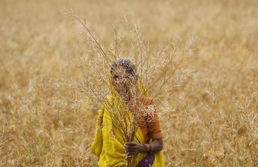 प्रतीकात्मक तस्वीर