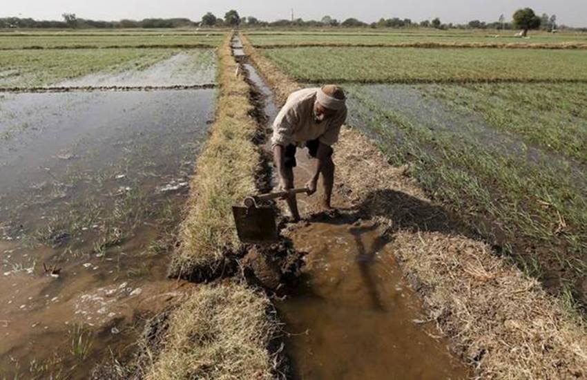तस्वीर का इस्तेमाल प्रतीकात्मक रूप में किया गया है।
(फोटो सोर्स: एक्सप्रेस आर्काइव)