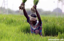 farmers loan waiver scheme