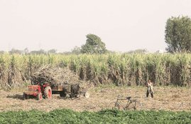 indian economy, gst, RBI, reserve bank of india, india agriculture sector, MSE, economy news, farm crisis, agricultural growth, agricultural crisis