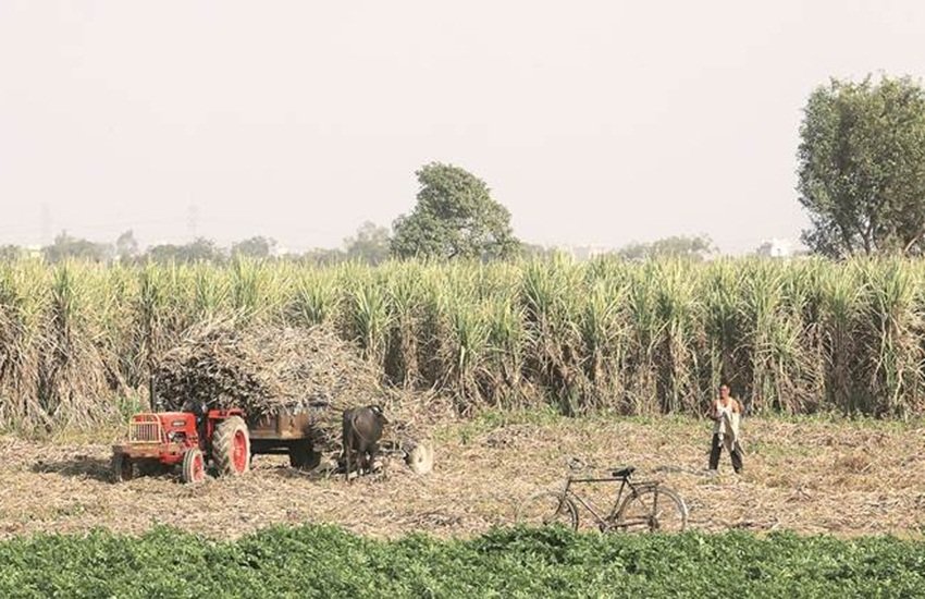 indian economy, gst, RBI, reserve bank of india, india agriculture sector, MSE, economy news, farm crisis, agricultural growth, agricultural crisis