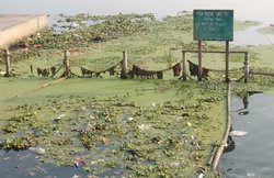 लखनऊ: मकर संक्रांति पर गोमती नदी में स्नान करने पहुंचे श्रद्धालु हुए निराश, गंदगी देख लौटे वापस