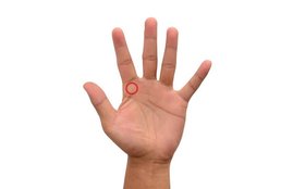 Palmistry, Palm, Jupiter Mountain, Index Finger, Square, Square On Jupiter Mountain, Cross Sign, Cross Sign On Jupiter Mountain, Star Sign Star Sign On Jupiter Mountain, Trident On Jupiter Mountain, Triangle Sign On Jupiter Mountain, religion news