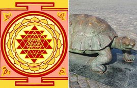 Vastu Shastra, Vastu, Vastu Tips, Turtle In Vastu, Turtle According To Vastu, benefits of Turtle, benefits of Metal Turtle, Happiness, Prosperity, benefits of keeping Turtle, benefits of keeping Turtle in home, religion news
