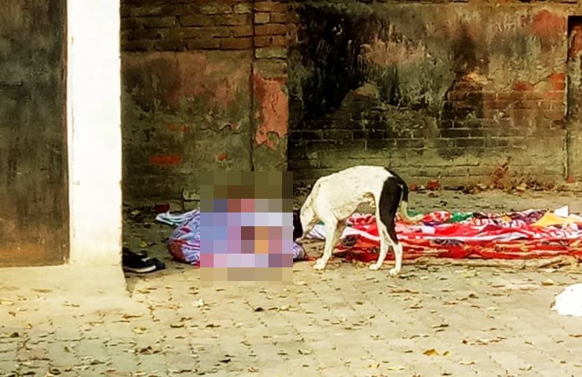 मोर्चरी के कर्मचारियों द्वारा शव को खुले में छोड़े जाने पर उसे कुत्ते नोचते रहे। 