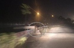 ग्रेटर नोएडा में दिखा तेंदुआ, सोशल मीडिया पर तस्वीरें वायरल हुईं तो दहशत में आए लोग