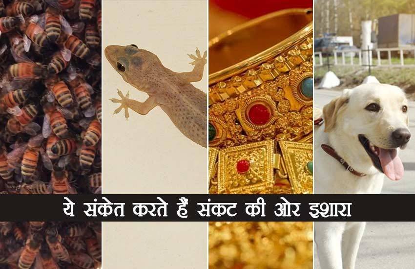 Five Signs indicate Crisis, Five Signs Show Crisis, Money Crisis, Health, Honeybee, Honeycomb, Lizard, Jewelery, Jewelery Lose, Pet, Religion News Five Signs indicate Crisis, Five Signs Show Crisis, Money Crisis, Health, Honeybee, Honeycomb, Lizard, Jewelery, Jewelery Lose, Pet, Religion News