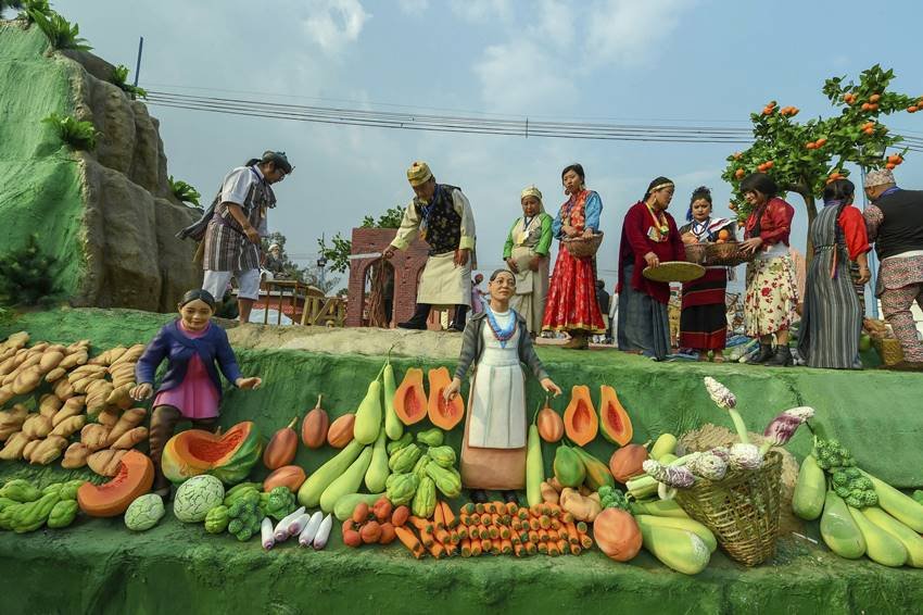 सिक्कम की झांकी हरी सब्जियां नजर आईं।