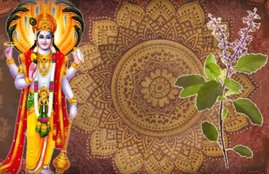 Bhagavata Purana, Purana, Bhagavata, Lord Vishnu, Tulsi, Tulsi Vivah, Tulsi Cursed Lord Vishnu,Tulsi Cursed Vishnu, Jalandhar, Vrinda, Parvati, Religion News