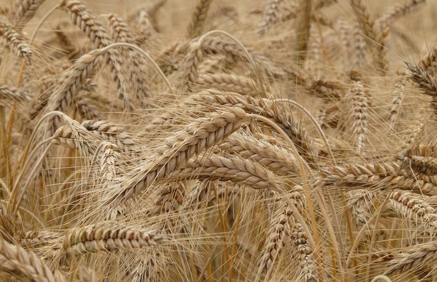 तस्वीर का इस्तेमाल केवल प्रतीकात्मक तौर पर किया गया है। (Image Source: pixabay)