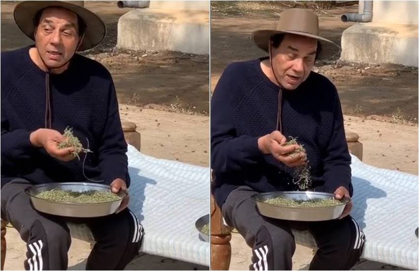 एक्टर धर्मेंद्र (फोटोसोर्स: इंस्टाग्राम)