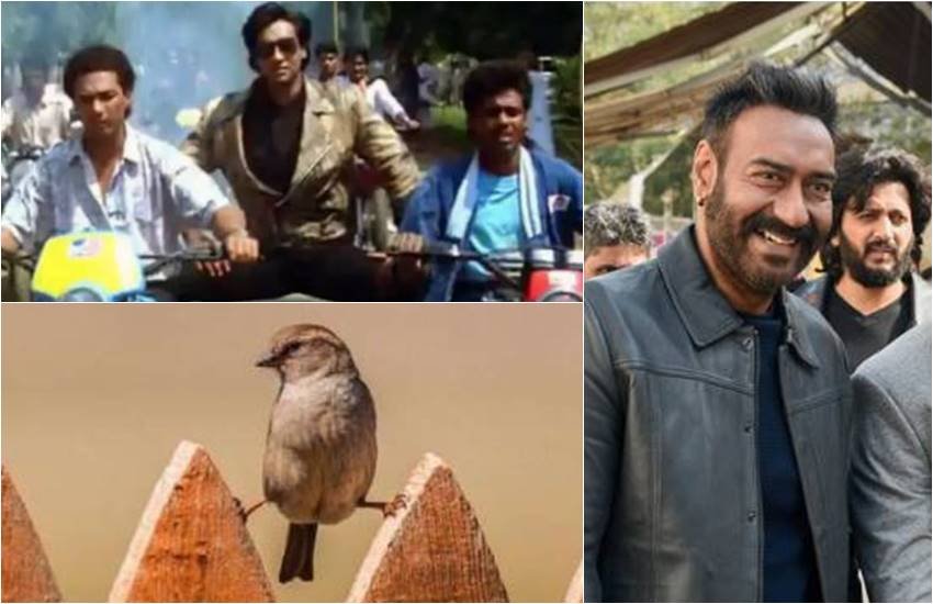 ajay devgn, Riteish Deshmukh, ajay devgn trolled Riteish, Riteish trolled ajay devgn, actor ajay devgn, actor Riteish deshmukh, Riteish on social media, ajay devgn on social media, entertainment news, bollywood news, television news