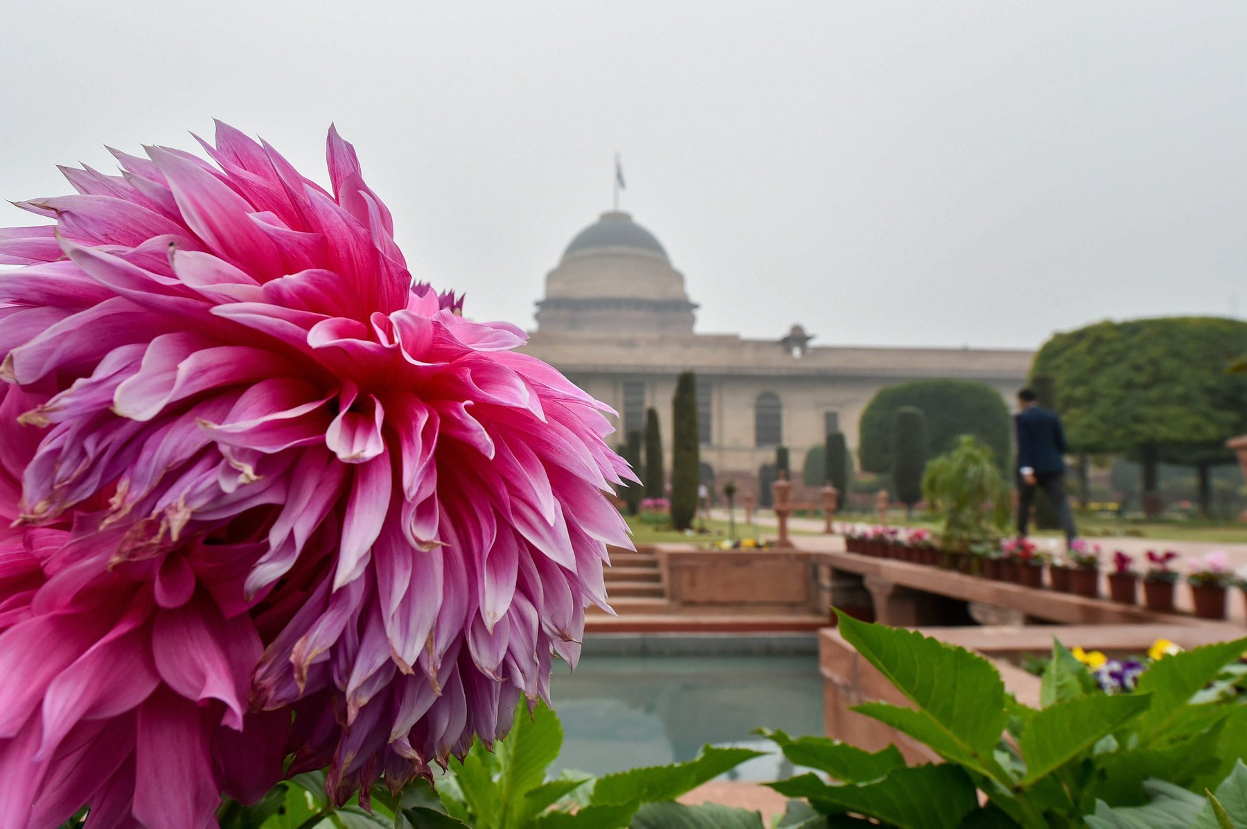 mughal gardens, president’s estate, ram nath kovind, rashtrapati bhavan, udyanotsav