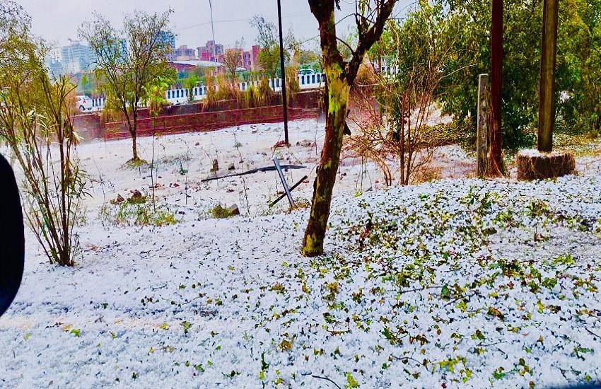 दिल्ली-एनसीआर में ओलावृष्टि (फोटोः @AAPKaMehta)