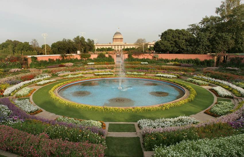 Mughal Garden Online Ticket Booking, Mughal Garden Online Ticket, Mughal Garden Ticket, Mughal Garden, Udyanotsav, Ticket, Booking, Timings, Entry Fees, Location, Address, Rashtrapati Bhawan, New Delhi, Utility News, India News, Hindi News, मुगल गार्डन, ऑनलाइन टिकट, ऑफलाइन बुकिंग, टिकट बुकिंग, उद्यनोत्सव, टिकट, समय, प्रवेश शुल्क, एंट्री फीस, जगह, पता, राष्ट्रपति, नई दिल्ली, यूटीलिटी न्यूज, भारत समाचार, हिंदी समाचार