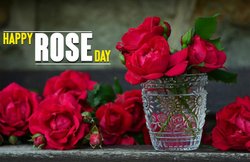 Happy Rose Day 2019: गुलाब के रंग का होता है अलग-अलग मतलब, जानिए कब किस रंग का Rose है देना