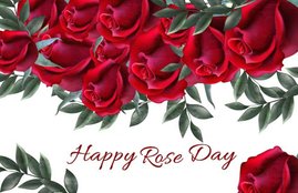 happy rose day, happy rose day 2019, happy rose day images, happy rose day images 2019, happy rose day 2019 status, happy rose day wishes images, happy rose day quotes, happy happy rose day wishes quotes