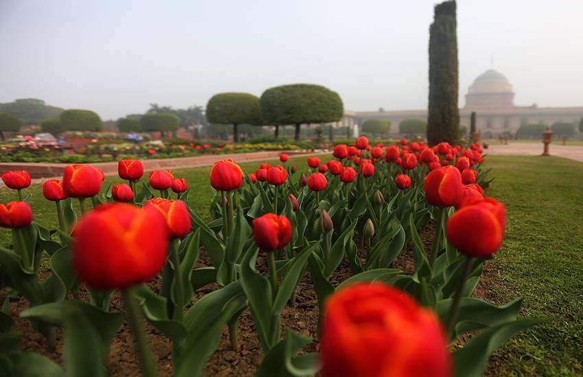 mughal gardens, president’s estate, ram nath kovind, rashtrapati bhavan, udyanotsav