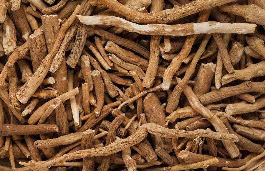 लीवर के लिए अश्वगंधा के लाभ (Source: Dreamstime)