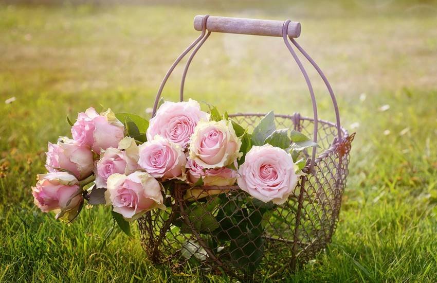 तस्वीर का इस्तेमाल केवल प्रतीकात्मक तौर पर किया गया है। (Image Source: pixabay) तस्वीर का इस्तेमाल केवल प्रतीकात्मक तौर पर किया गया है। (Image Source: pixabay)