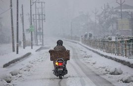 kashmir, kashmir terror