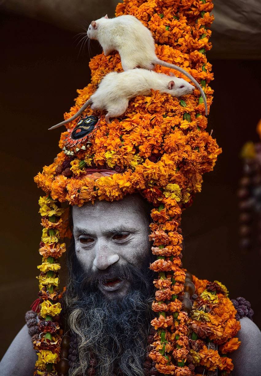 Kumbh mela, amit shah at kumbh mela, yogi adityanath, Kumbh mela holy dip,kumbh mela, kumbh mela 2019, kumbh mela prayagraj, basant panchami, ganga, sangam, holy dip, kumbh mela devotees