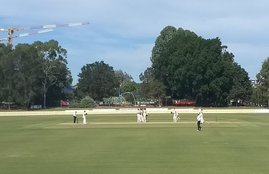 VIDEO, bizarre dismissals, Australia, Hilton Cartwright, Western Australia, Sheffield Shield