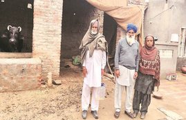 punjab farmers