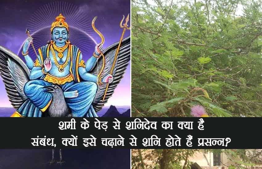 शमी-पेड़ और शानिदेव। 