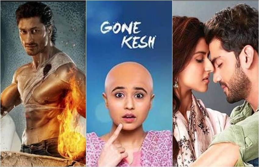 Junglee, Notebook, Gone Kesh Movie Review 