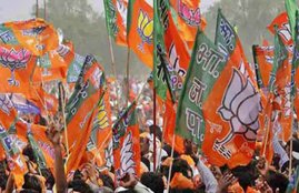 BJP, Lok Sabah Election 2019