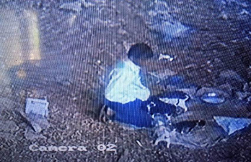 चेन्नई में एक शख्स को पिल्लों के साथ दुराचार करते देखा गया। (फोटो CCTV स्क्रिन शॉट)