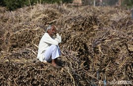 Kisan Samman Nidhi, Farmers, Una, Himachal Pradesh, Money, 2000 Rupees, Bank Accounts, Vanish, Bangana, Central Bank, Evidence, Revenue Department, Officials, Claim, Government, PNB, Transfer, State News, National News, Hindi News