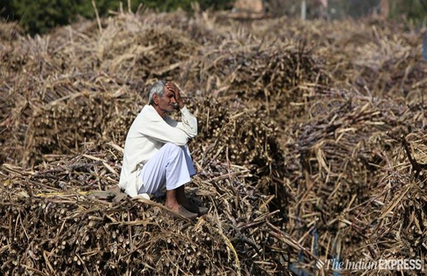 Kisan Samman Nidhi, Farmers, Una, Himachal Pradesh, Money, 2000 Rupees, Bank Accounts, Vanish, Bangana, Central Bank, Evidence, Revenue Department, Officials, Claim, Government, PNB, Transfer, State News, National News, Hindi News