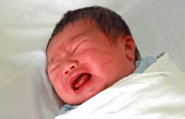 Bihar, Feviquick, Glue, Mother, Son, Cry, Lips, Mouth, Father, State News, Hindi News