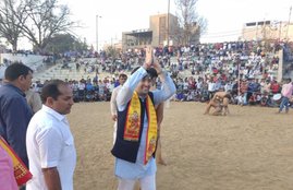 Raghav Chadha profile, Raghav Chadha wife, Raghav Chadha marriage, Raghav Chadha wedding, Raghav Chadha instagram, Raghav Chadha facebook, Raghav Chadha twitter