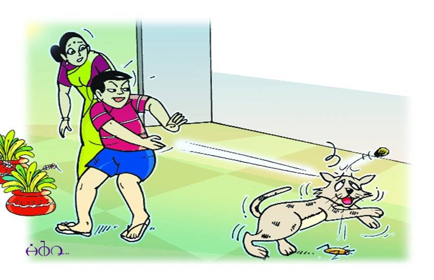 प्रतीकात्मक फोटो 