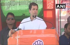 congress leader rahul gandhi