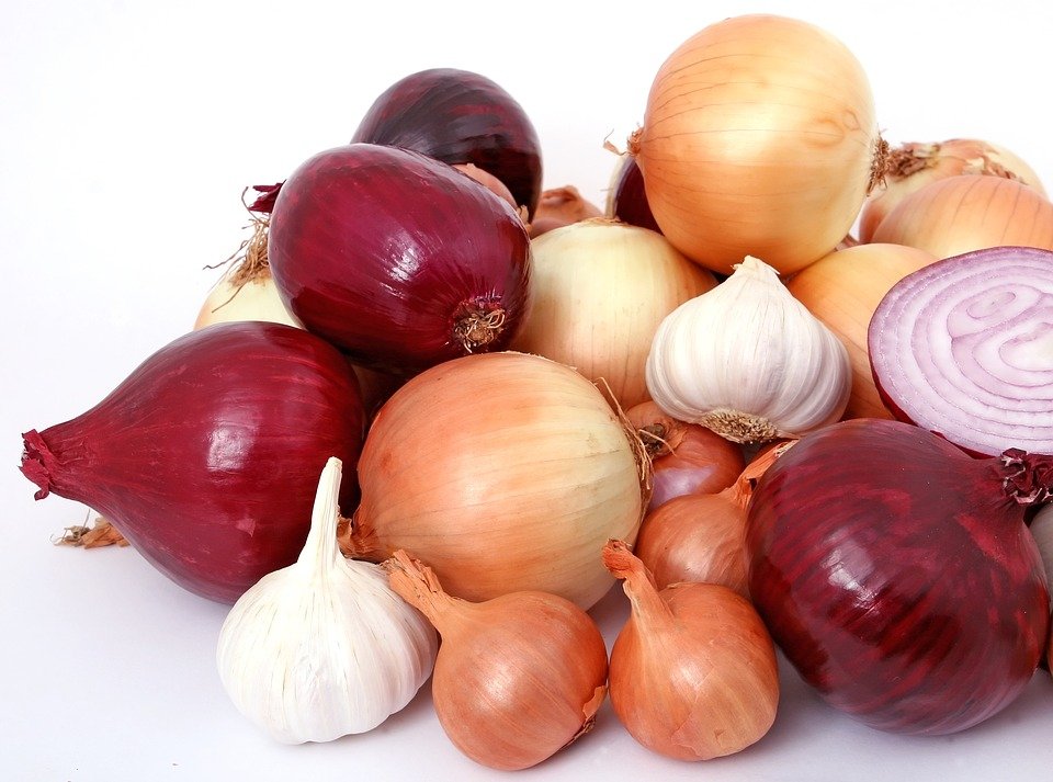 samundra manthan, rahu, ketu, vishnu, religion news, onion, garlic, worship