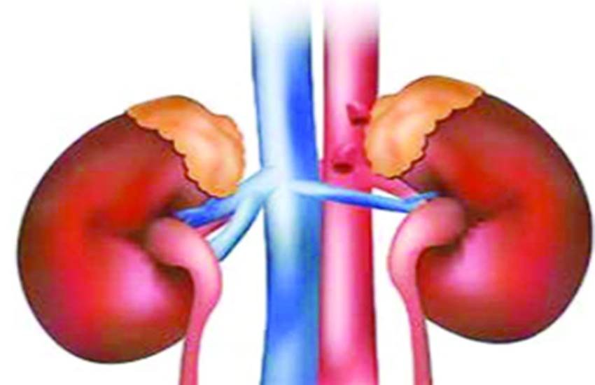 प्रतीकात्मक फोटो प्रतीकात्मक फोटो