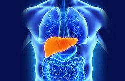 ना करें इन छोटी बातों को नजरअंदाज, लीवर को पहुंच सकता है नुकसान