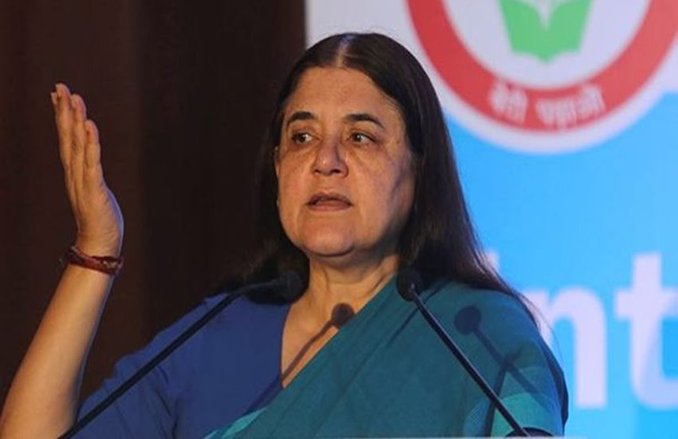 Lok Sabha Election 2019: मेनका गांधी के विरोध में भाजपाई, पीलीभीत से टिकट काटने की मांग