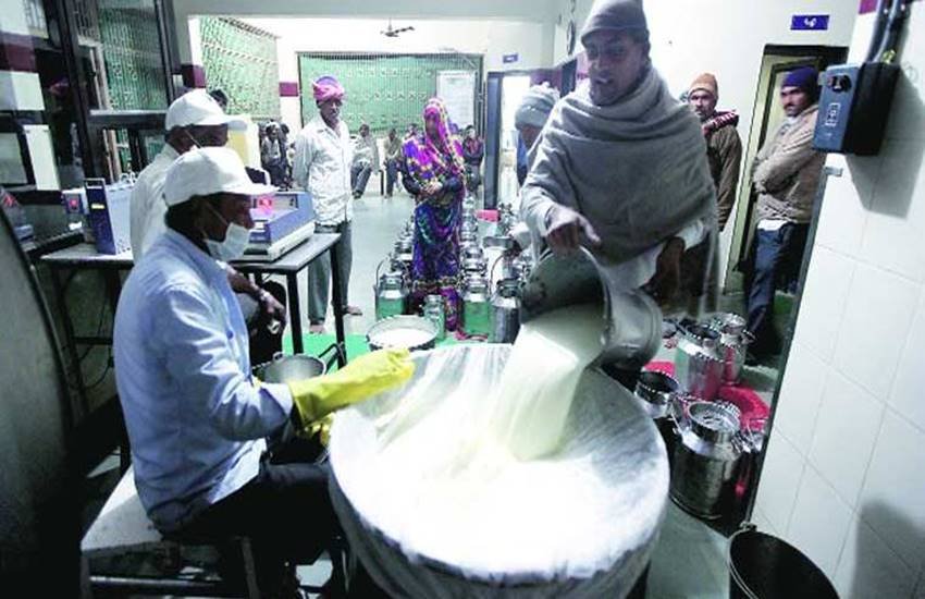 जयपुर, अजमेर, कोटा, उदयपुर, अलवर और जोधपुर में फूड लैब स्थापित है