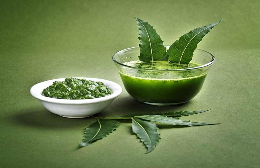 नीम के स्वास्थ्य लाभ (Source: Dreamstime)