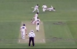 Sheffield Shield, Matthew Wade, Teamwork, cricket,