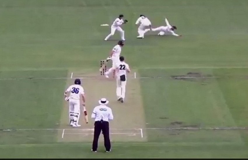 Sheffield Shield, Matthew Wade, Teamwork, cricket, Sheffield Shield, Matthew Wade, Teamwork, cricket,