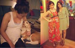 प्रेग्नेंसी में पिस्ता खाना सेफ है या नहीं, जानिए क्या है सच्चाई