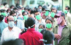 swine flu